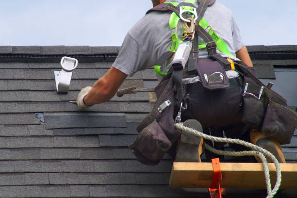 Best Shingle Roofing Installation  in Moose Wilson Road, WY
