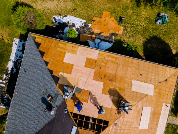 Best Roof Gutter Cleaning  in Moose Wilson Road, WY